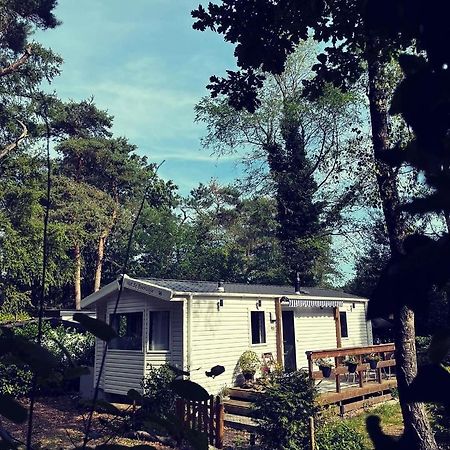 Knus Chalet Midden In De Bossen นึนชเปท ภายนอก รูปภาพ