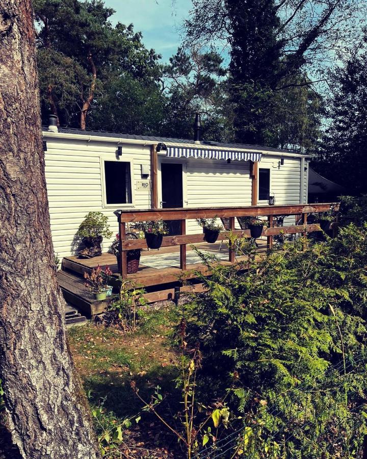 Knus Chalet Midden In De Bossen นึนชเปท ภายนอก รูปภาพ