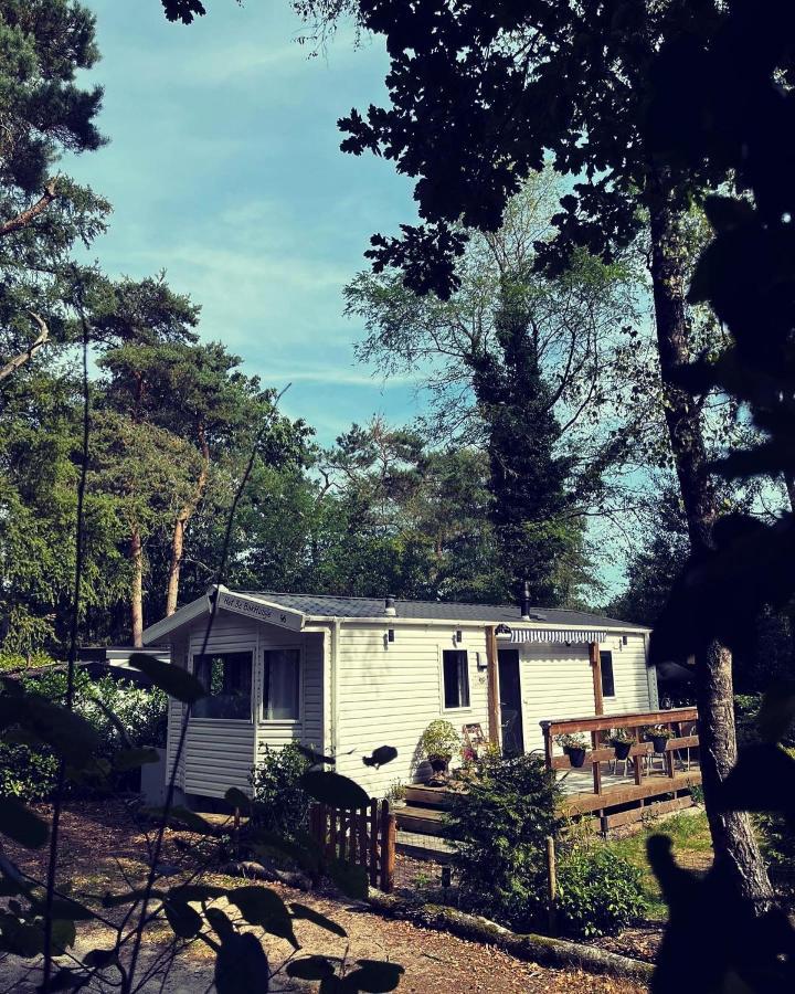 Knus Chalet Midden In De Bossen นึนชเปท ภายนอก รูปภาพ