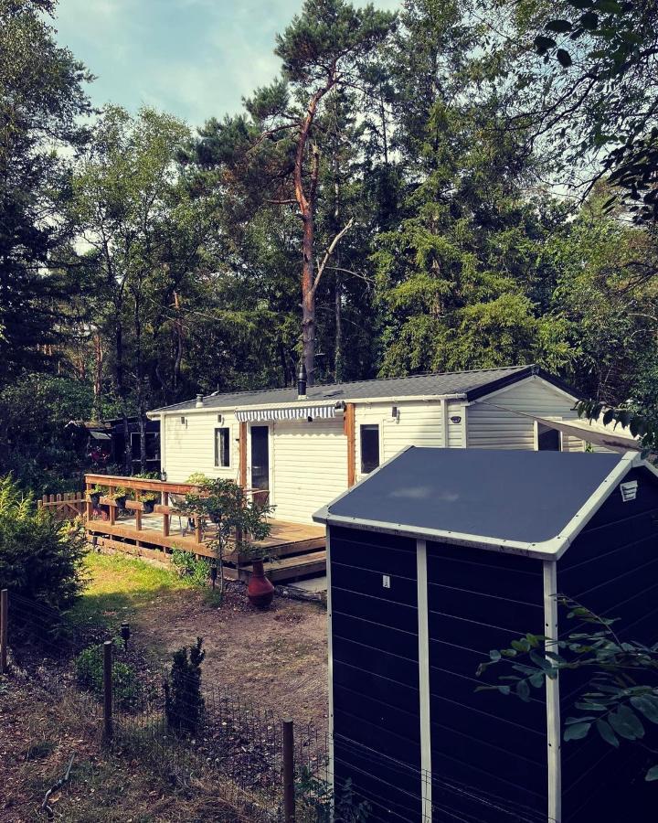 Knus Chalet Midden In De Bossen นึนชเปท ภายนอก รูปภาพ
