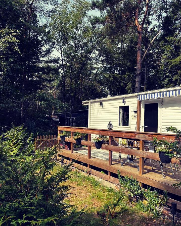 Knus Chalet Midden In De Bossen นึนชเปท ภายนอก รูปภาพ